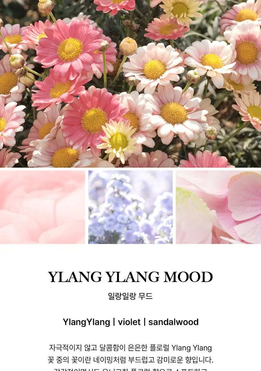 [보이넥스트도어 PICK] 비비앙 니치 섬유향수 일랑일랑무드 100ml 상세페이지 21
